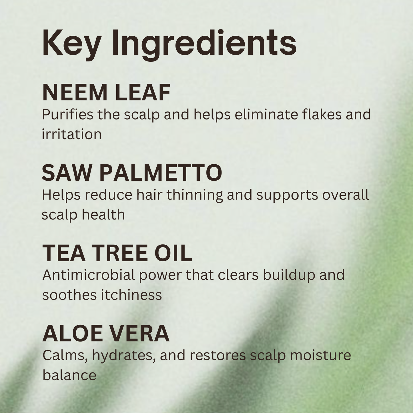 Hair Anti-Dandruff Shampoo