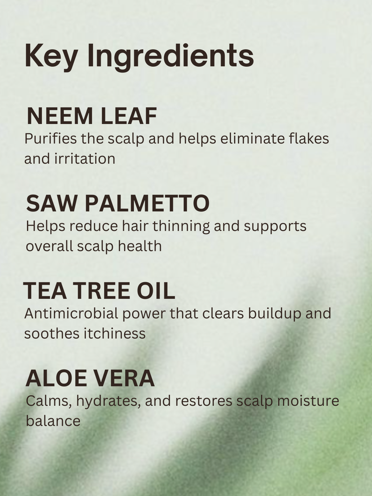 Hair Anti-Dandruff Shampoo