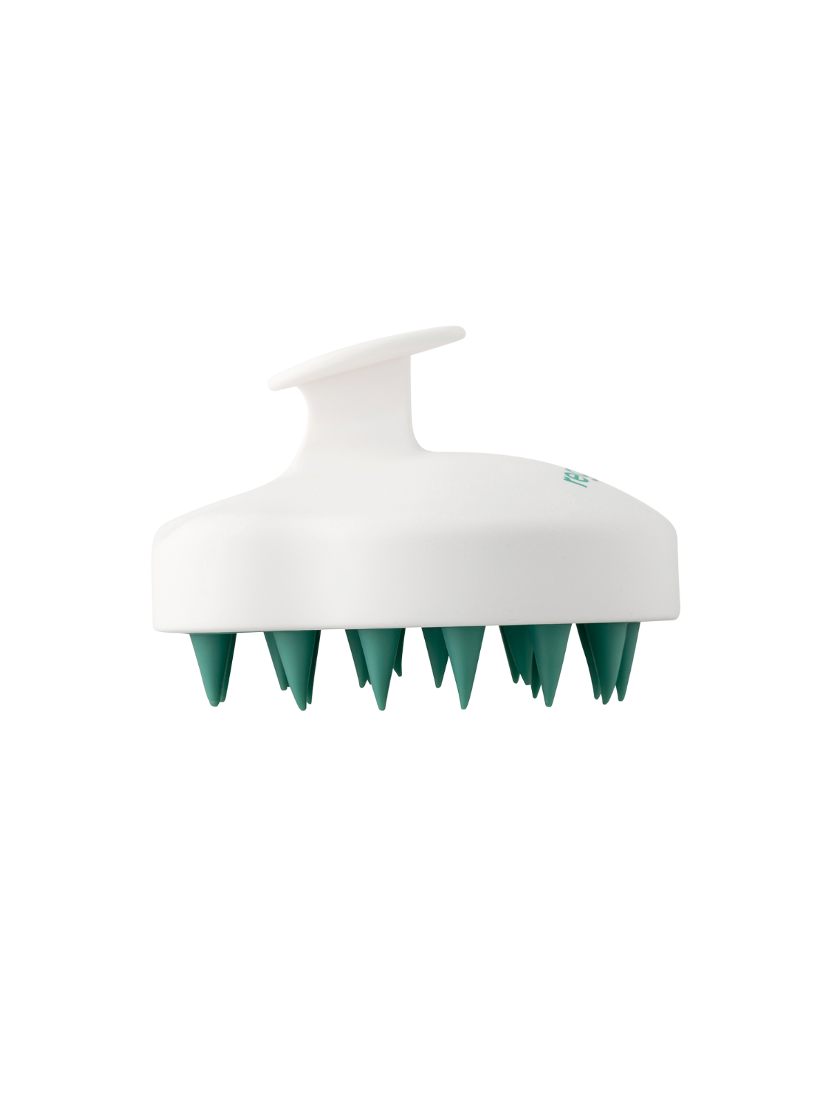 Scalp Revival Bundle