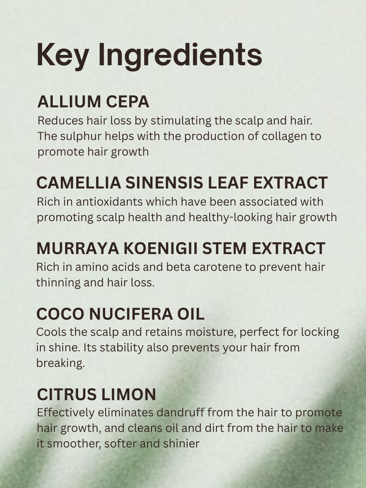 Hair Growth Treatment